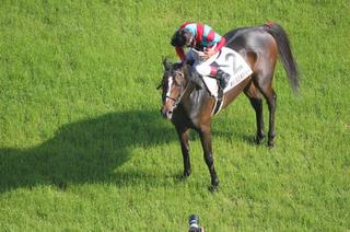 第８１回日本ダービー ワンアンドオンリー優勝 橋口調教師悲願のダービートレーナーへ 今日のコラム